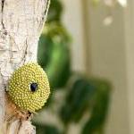 Green Olive. Bead Woven Round Pendant/necklace...